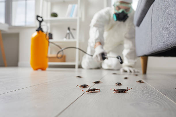 Trusted Cockroach Control service in Bryn Mawr, PA - Nex Pest Control