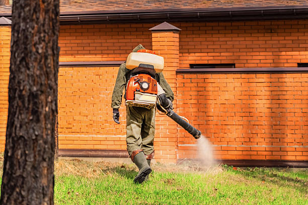 Trusted Bed Bug Control service in Bryn Mawr, PA - Nex Pest Control